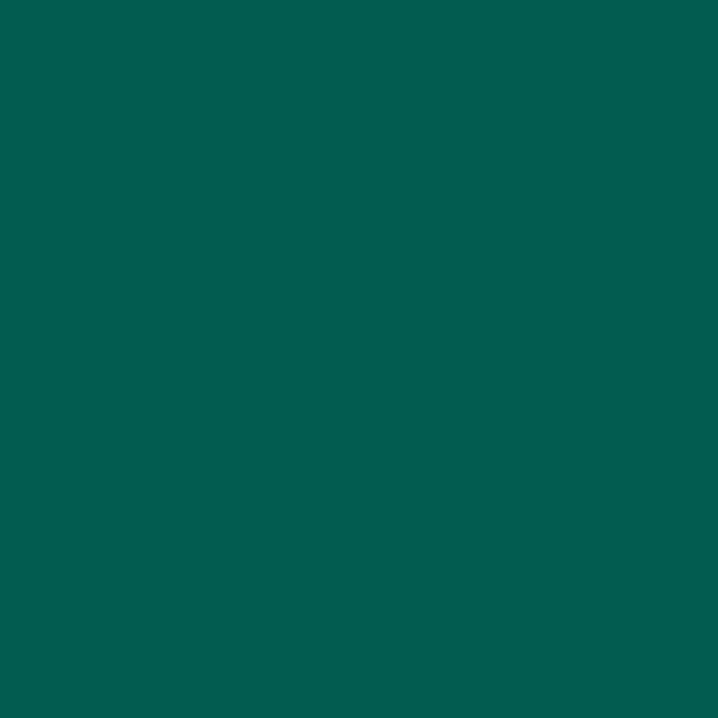 RAL 6026 opal green entry-doors door-colors ral-colors ral-6026-opal-green texture