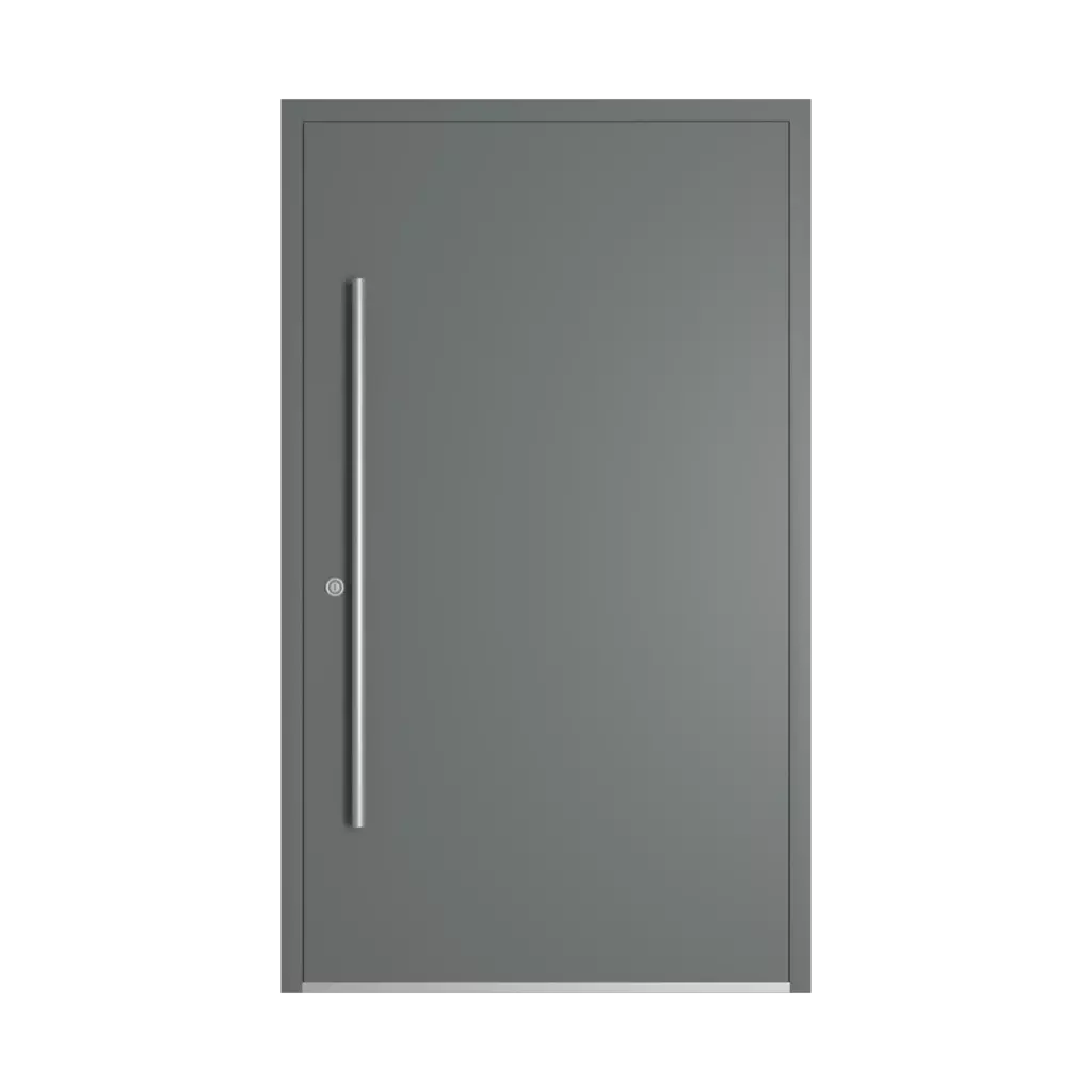 RAL 7005 Mouse Gray entry-doors models-of-door-fillings cdm model-46  