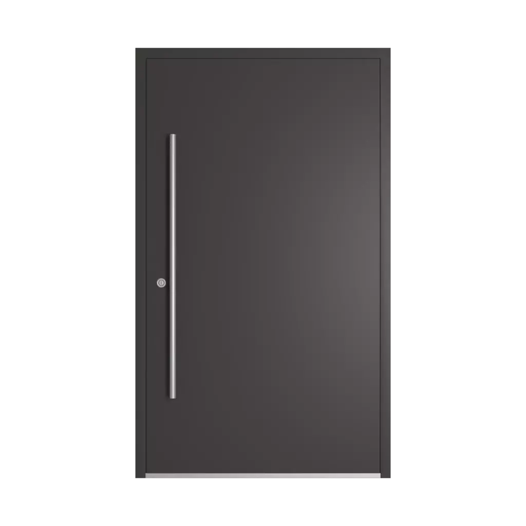 RAL 8019 Grey brown entry-doors models-of-door-fillings dindecor cl07  