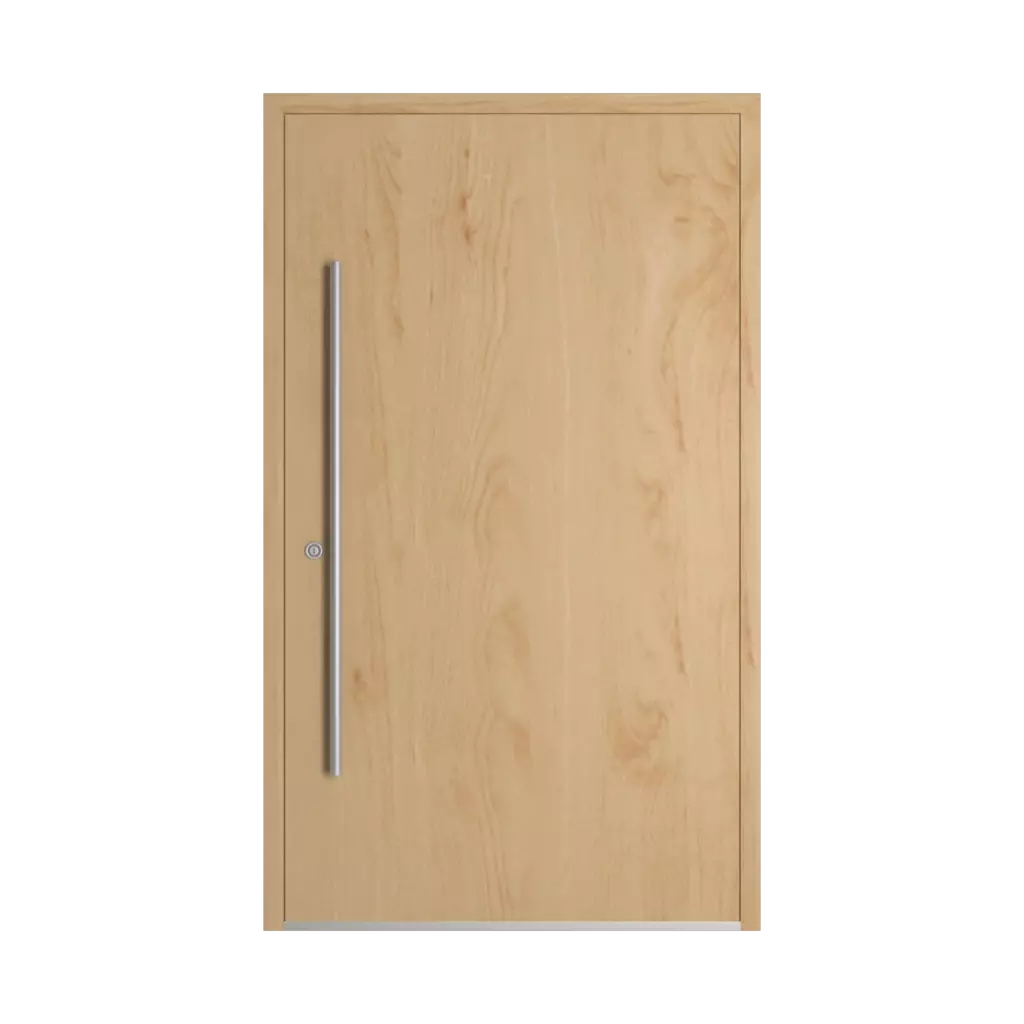 Birch entry-doors models-of-door-fillings dindecor ll01  