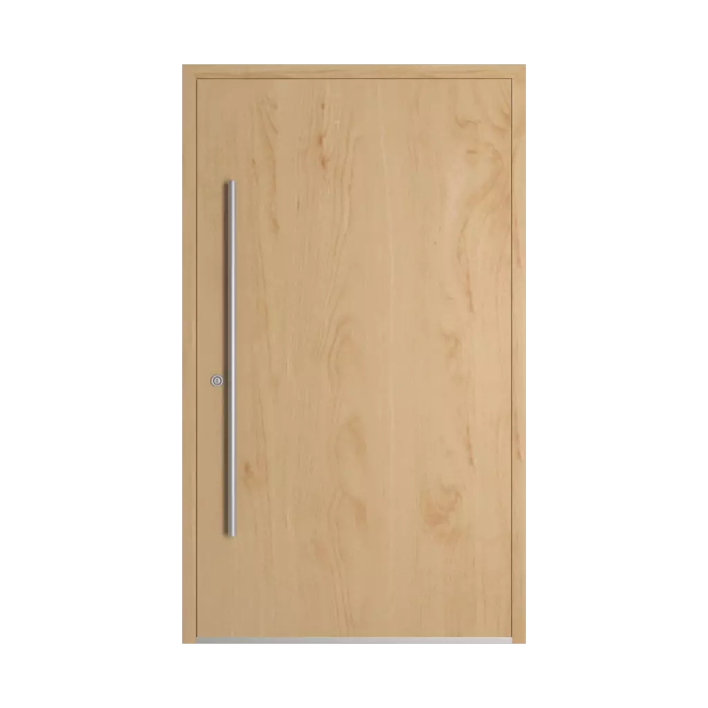 Birch entry-doors models-of-door-fillings dindecor model-5001  