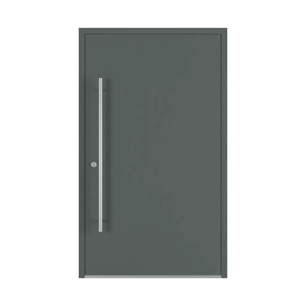 Basalt gray entry-doors models-of-door-fillings dindecor model-6123  