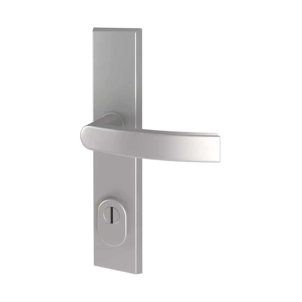 Odin โจ entry-doors door-accessories handles