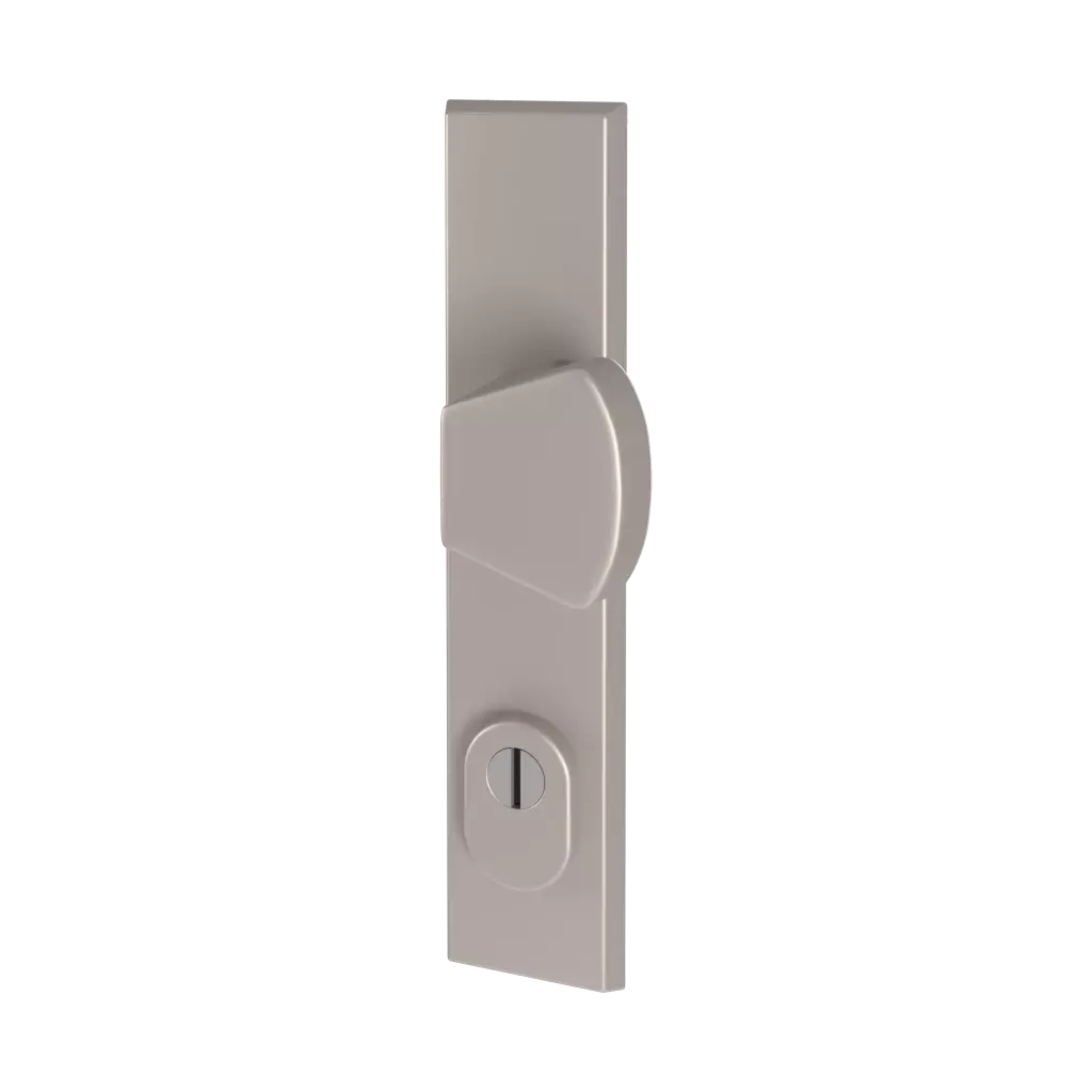 Stainless steel F6 entry-doors door-accessories door-knobs odin interior