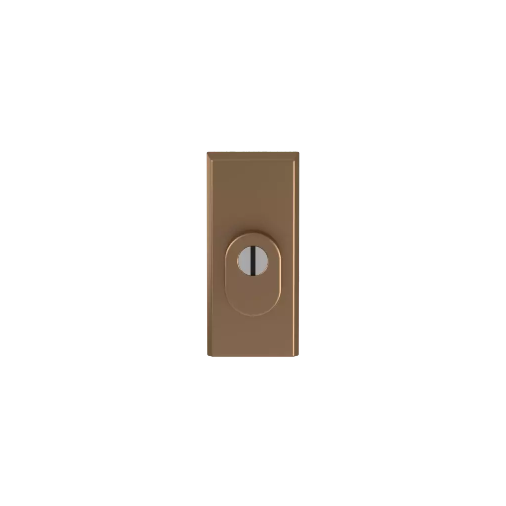 Old gold F4 entry-doors door-accessories escutcheons odin old-gold-f4 