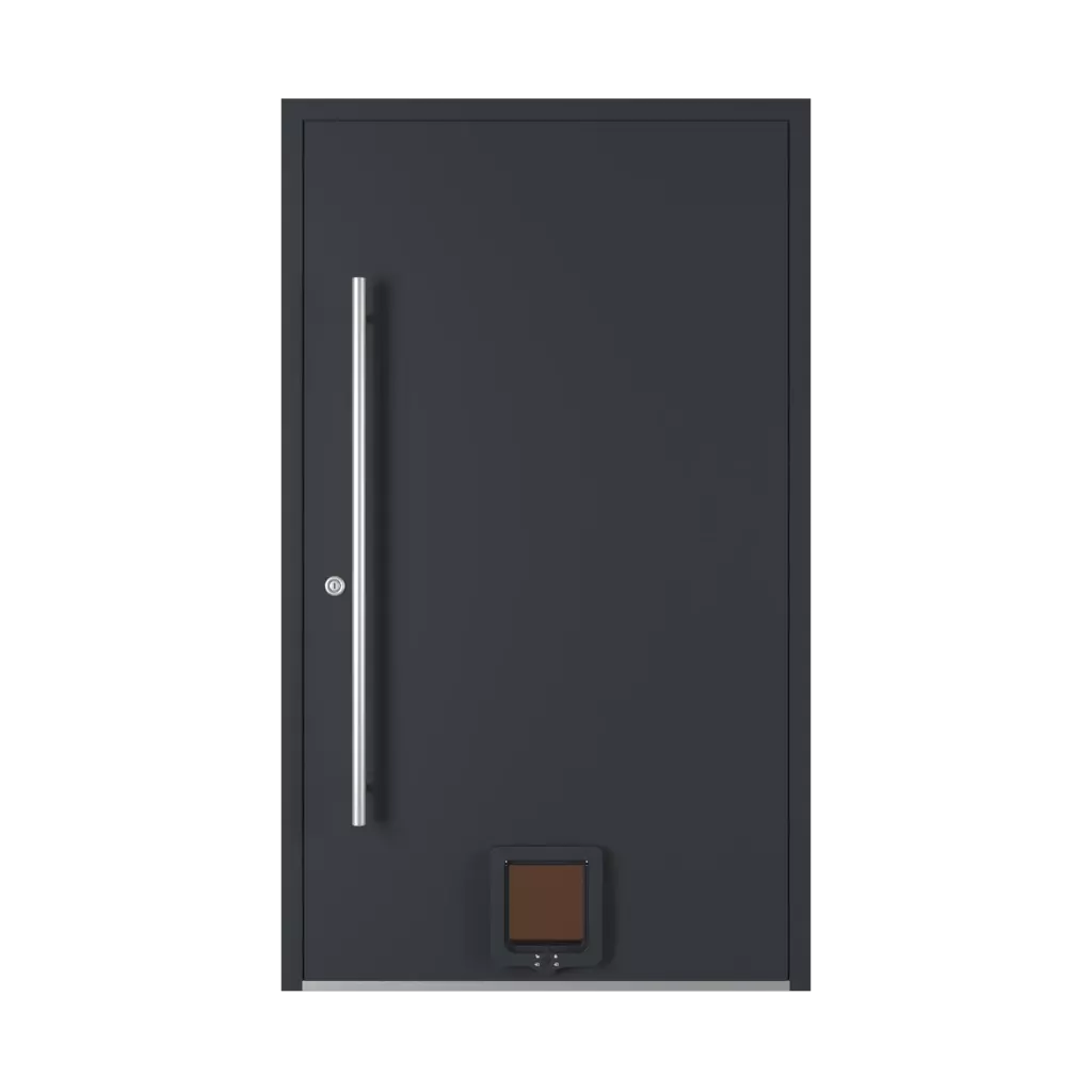 Cat or dog door entry-doors door-accessories