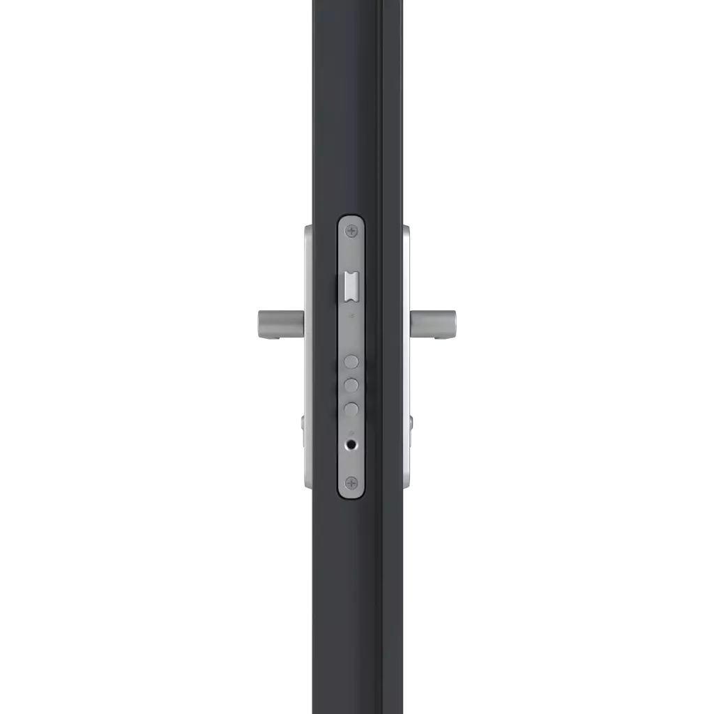 Handle/handle entry-doors models-of-door-fillings adezo derby  