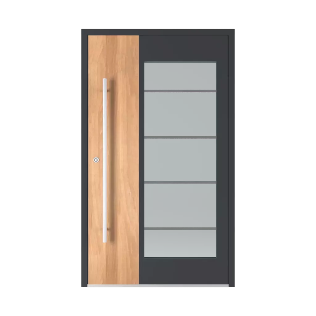 Model 6110 entry-doors models-of-door-fillings dindecor 