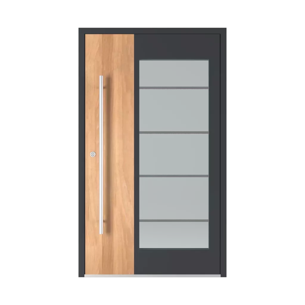 Model 6110 entry-doors models-of-door-fillings glazed 