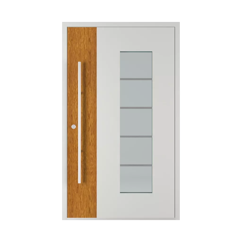 Model 6113 WD entry-doors models-of-door-fillings aluminum 