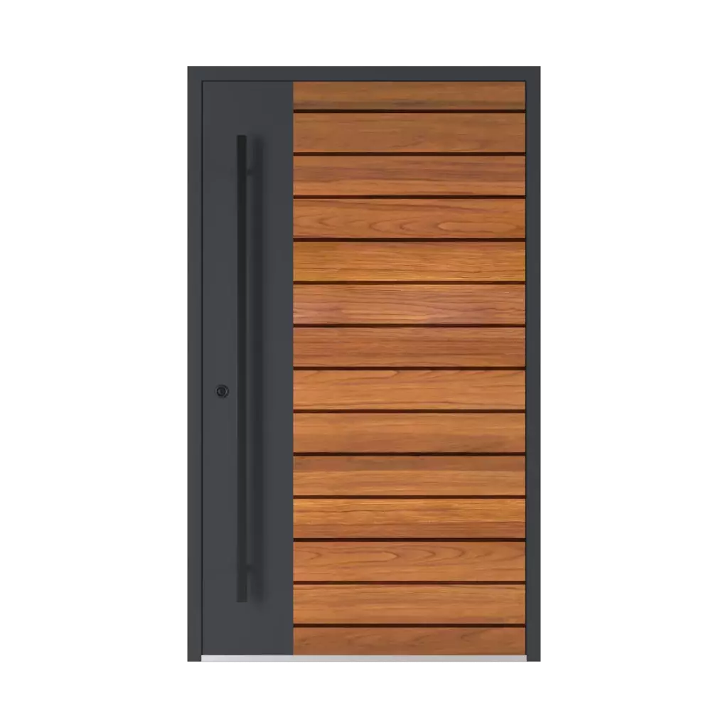 Model 6123 ✨ entry-doors door-colors ral-colors ral-2001-red-orange 