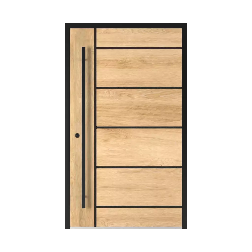 2801 Black entry-doors models-of-door-fillings aluminum 