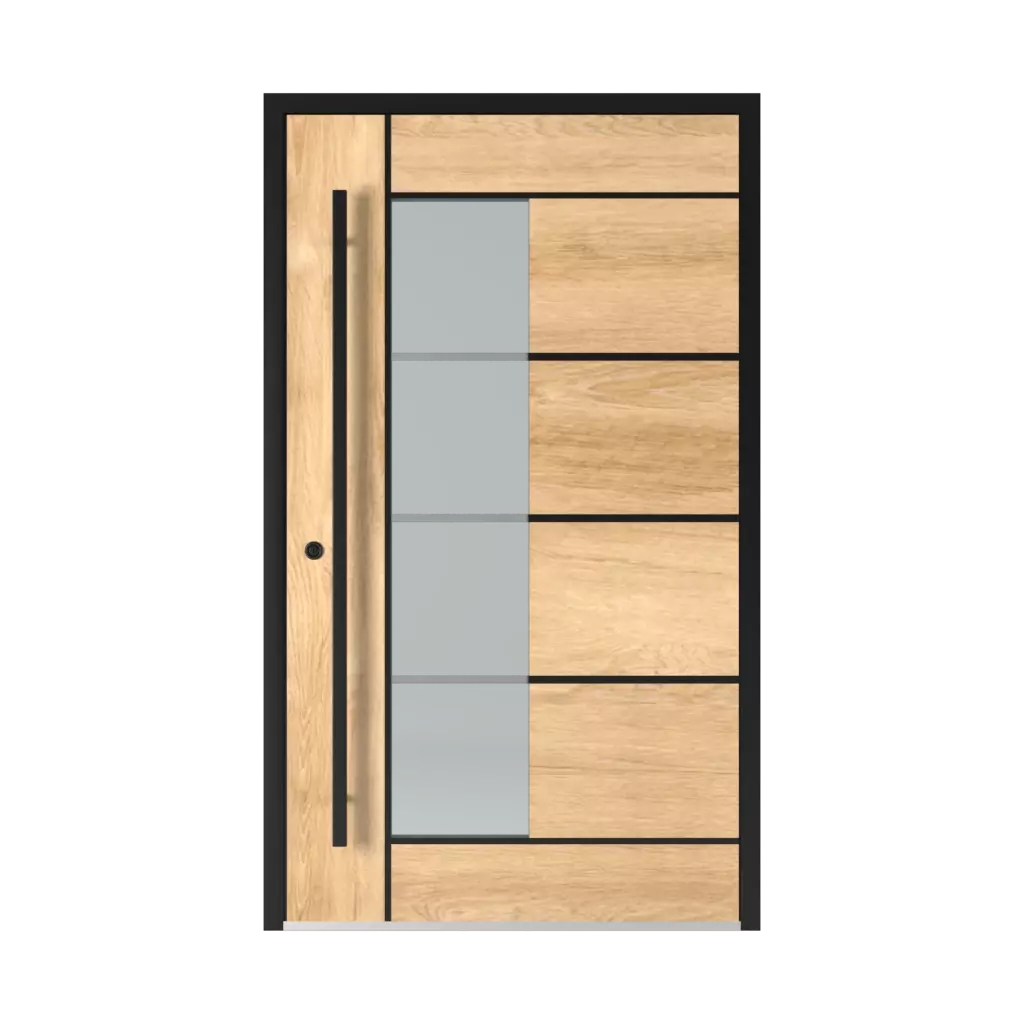 2802 Black entry-doors models-of-door-fillings dindecor 