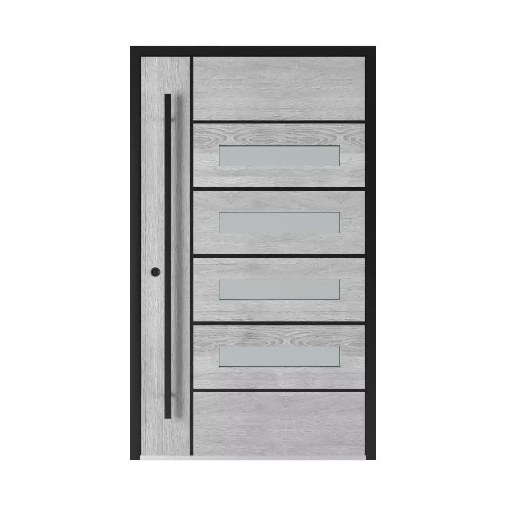 5007 Black entry-doors models-of-door-fillings aluminum 