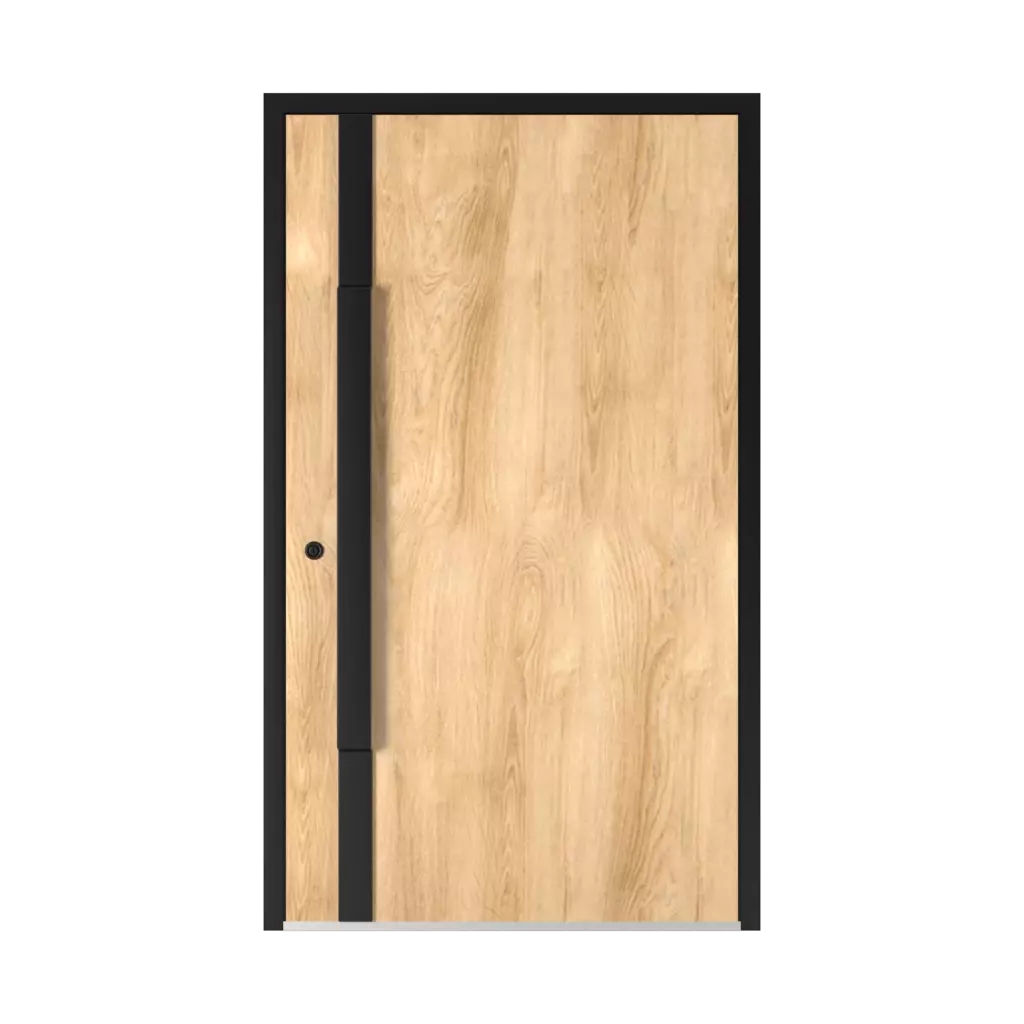 5015 Black ✨ entry-doors door-colors ral-colors ral-7044-silk-grey 