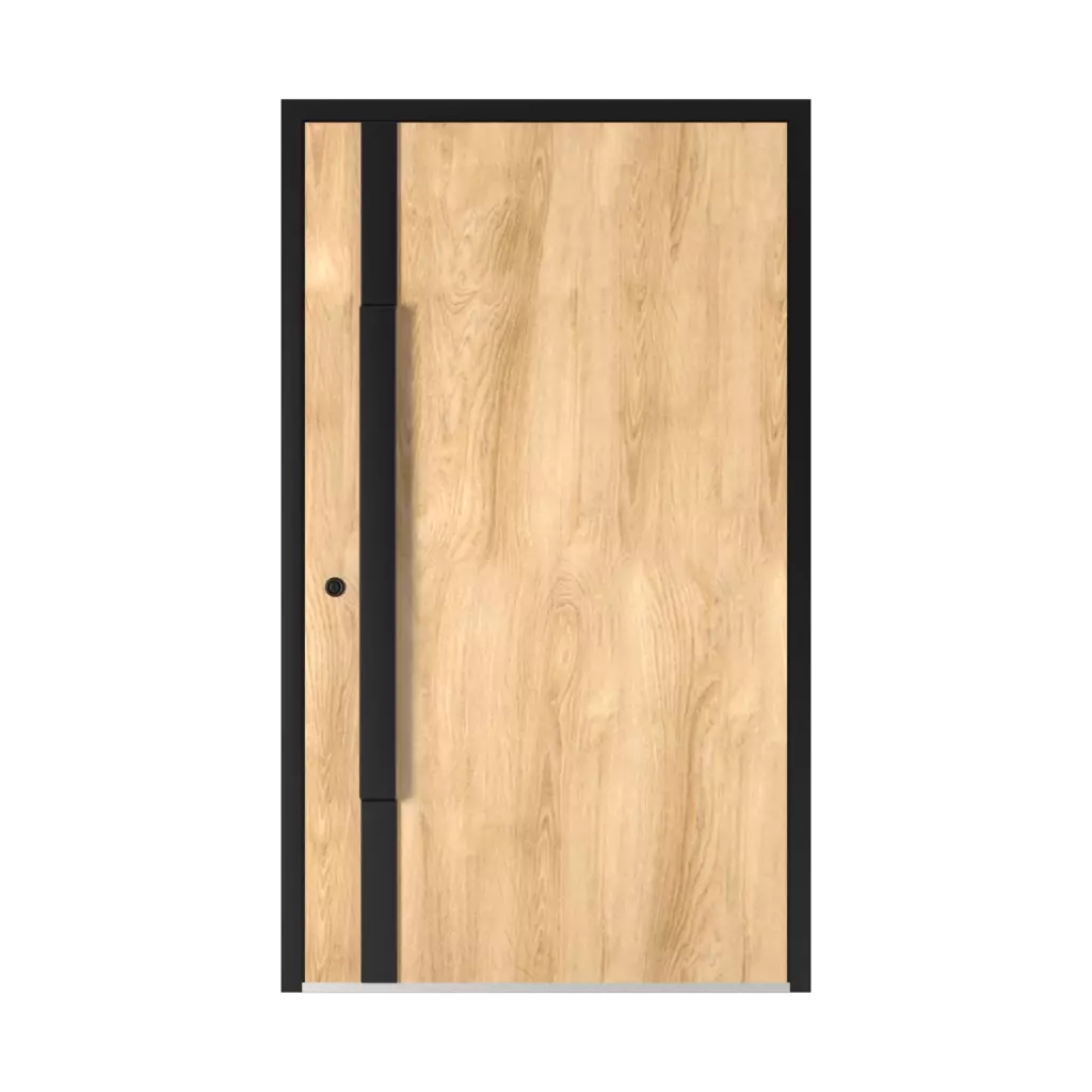 5015 Black ✨ entry-doors door-colors ral-colors ral-3031-orient-red 