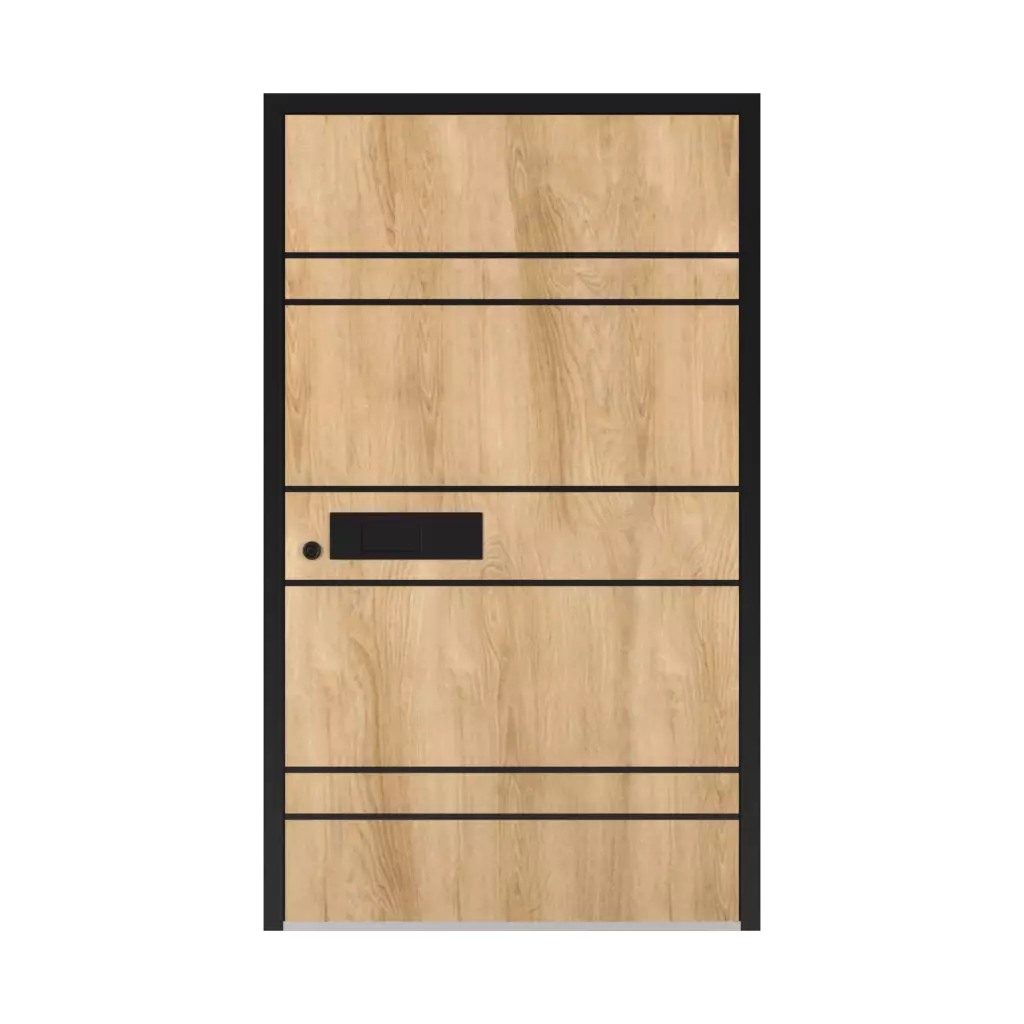 5018 Black entry-doors models-of-door-fillings dindecor 