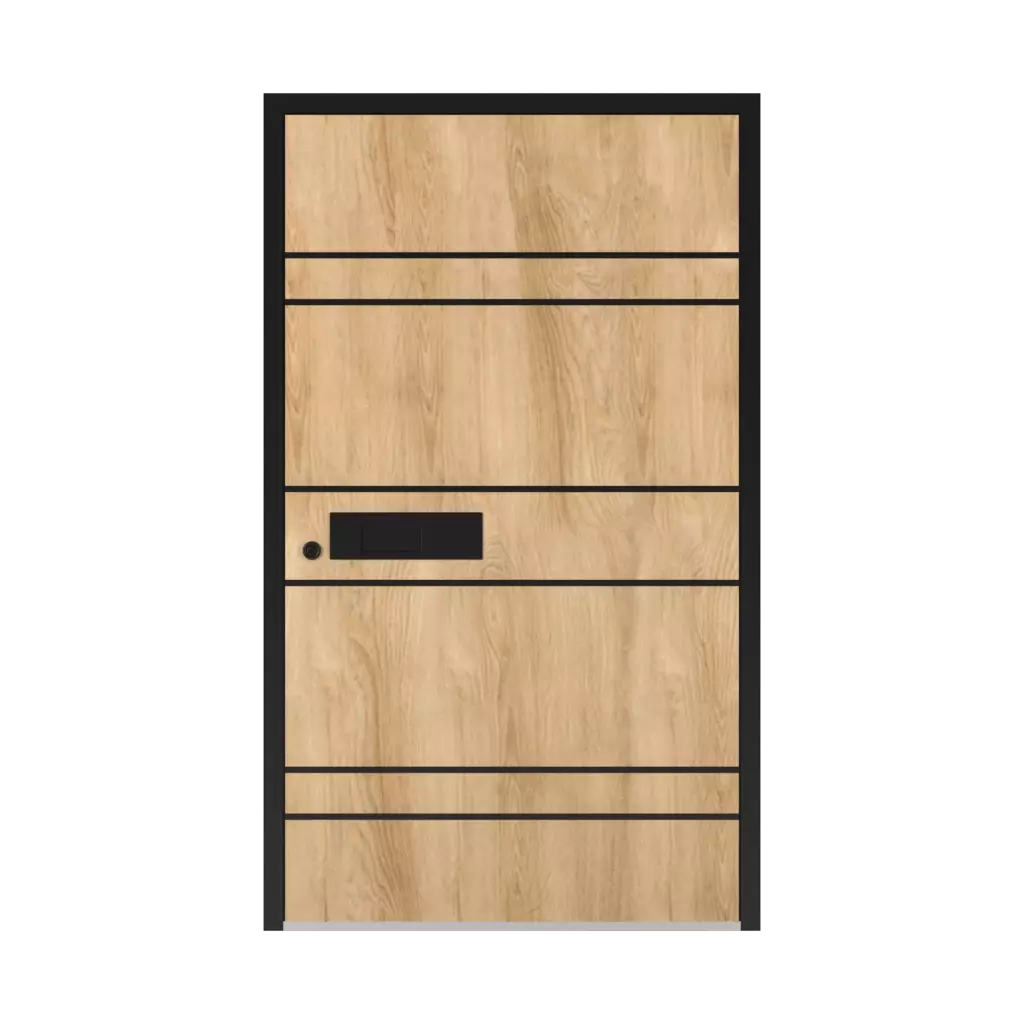 5018 Black entry-doors models-of-door-fillings dindecor 5018-black  