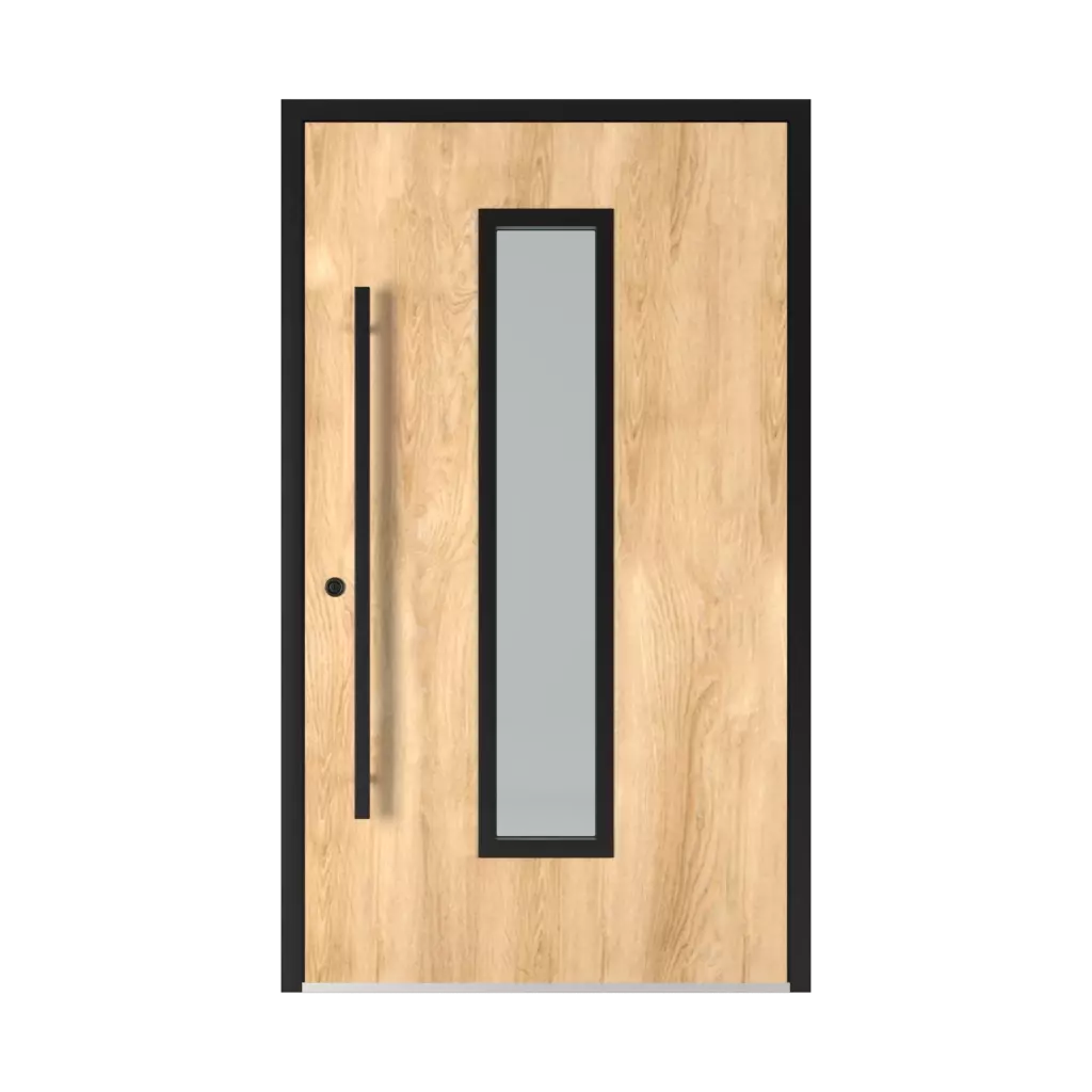 6002 Black entry-doors models-of-door-fillings aluminum 