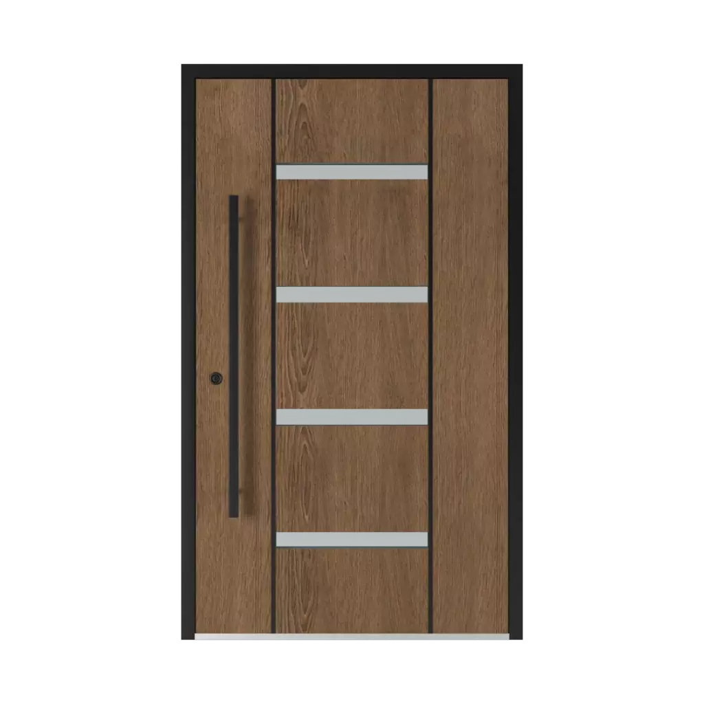 6102 Black ✨ entry-doors door-colors standard-colors dark-brown-matt 