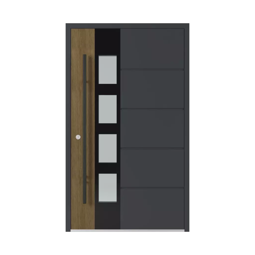 GL05 entry-doors models-of-door-fillings aluminum 