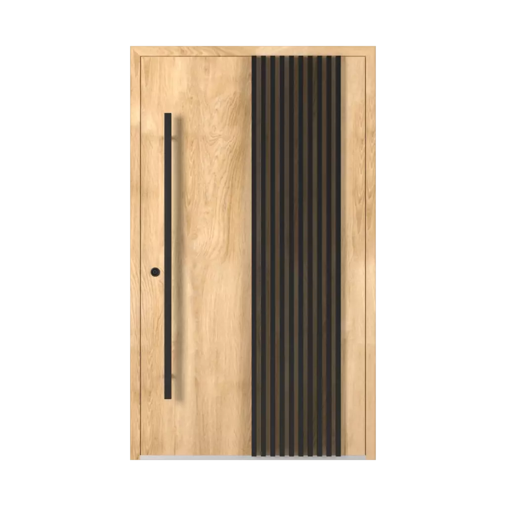 LL02 🏆 entry-doors models-of-door-fillings dindecor 