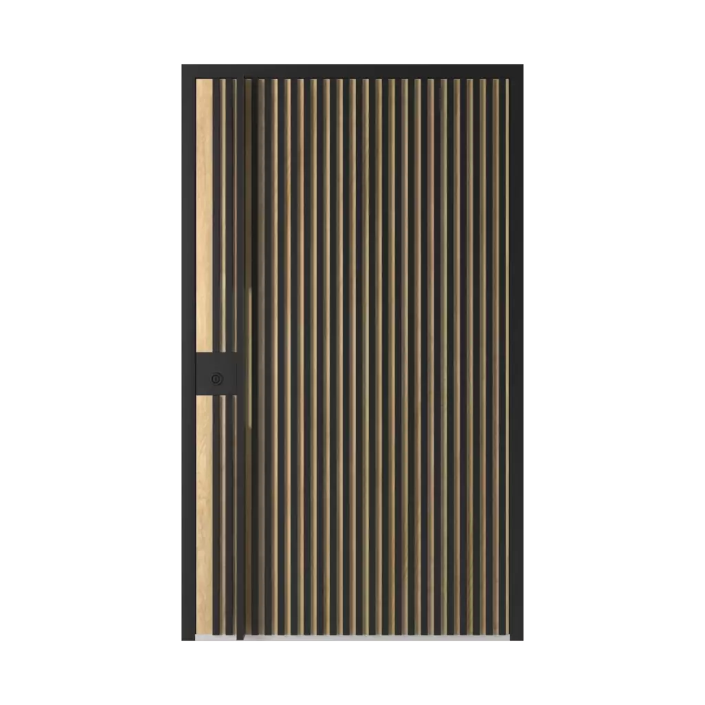LL03 🏆 entry-doors models-of-door-fillings dindecor 