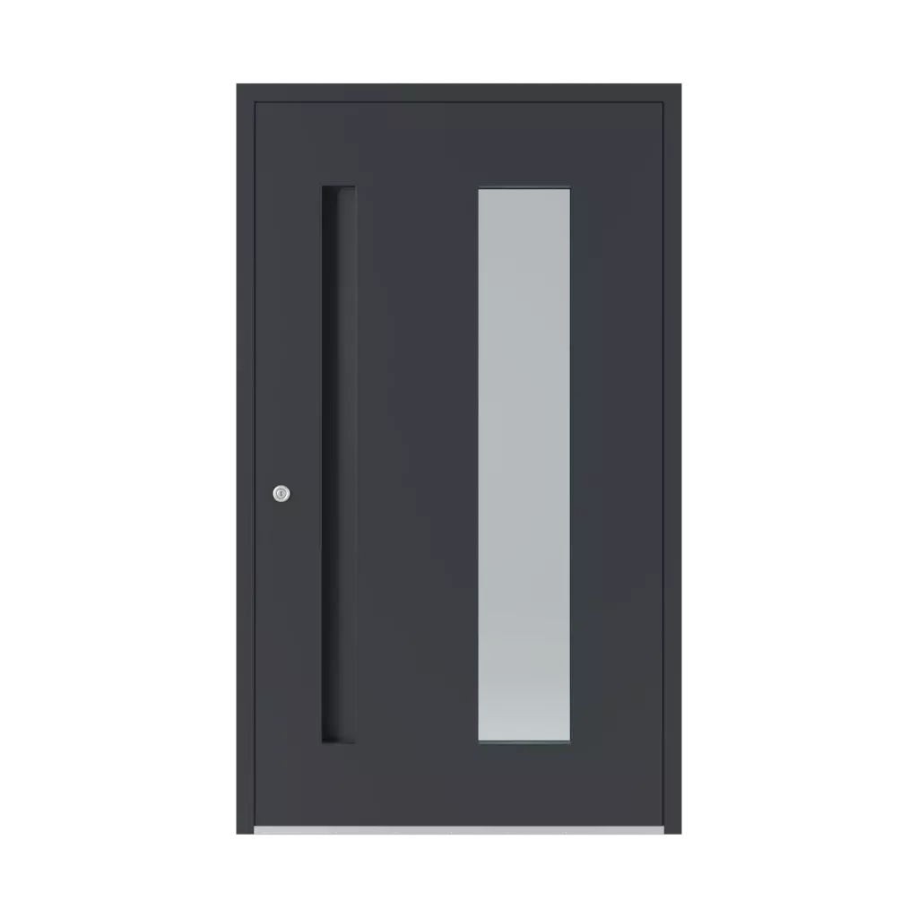 6116 PWZ entry-doors models-of-door-fillings dindecor 