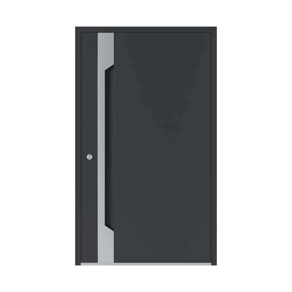 6119 PWZ entry-doors models-of-door-fillings aluminum 