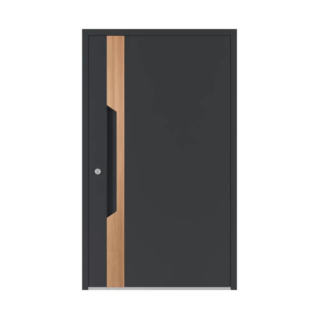 6121 PWZ ✨ entry-doors door-colors ral-colors ral-7005-mouse-gray 