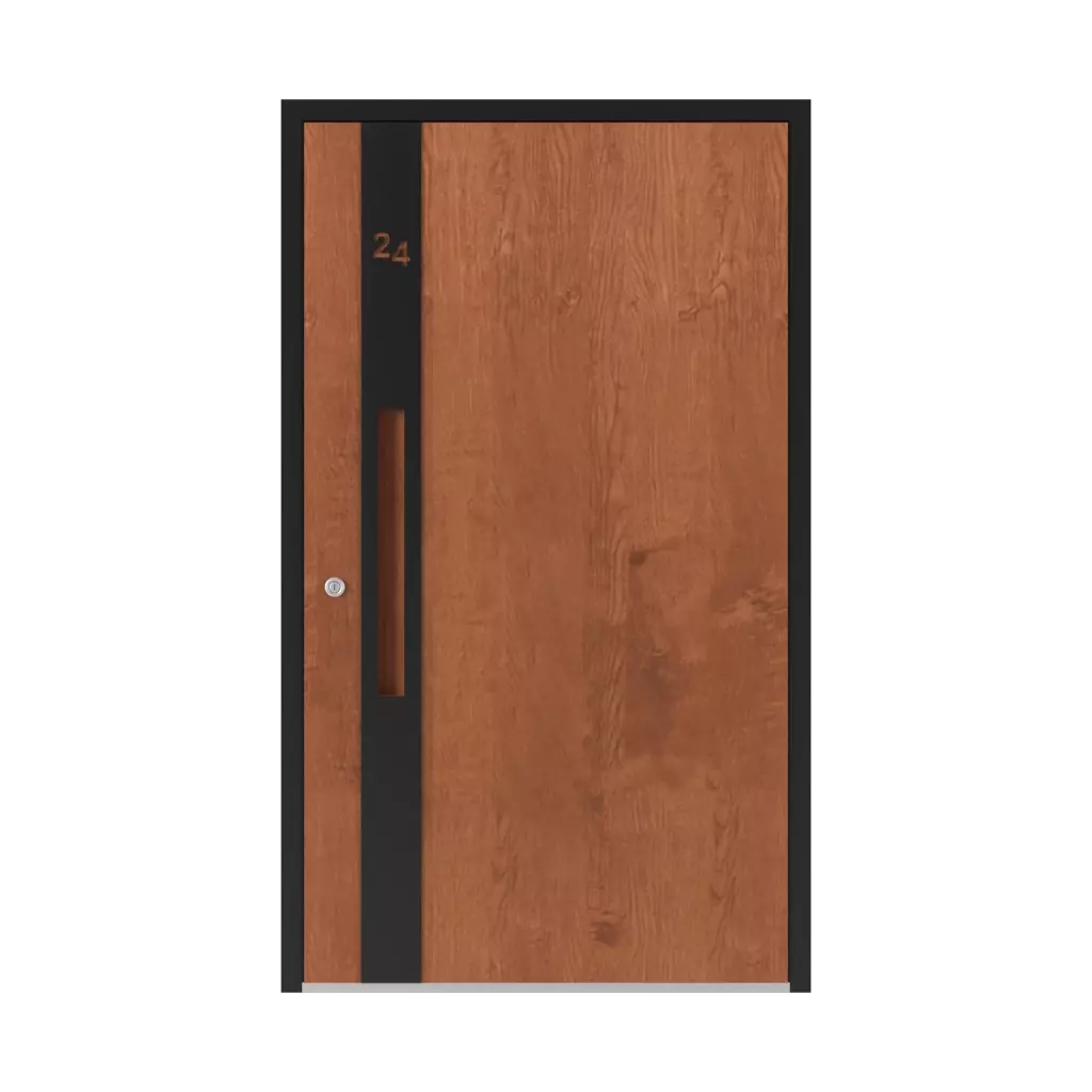 6124 PWZ entry-doors models-of-door-fillings dindecor 6124-pwz  