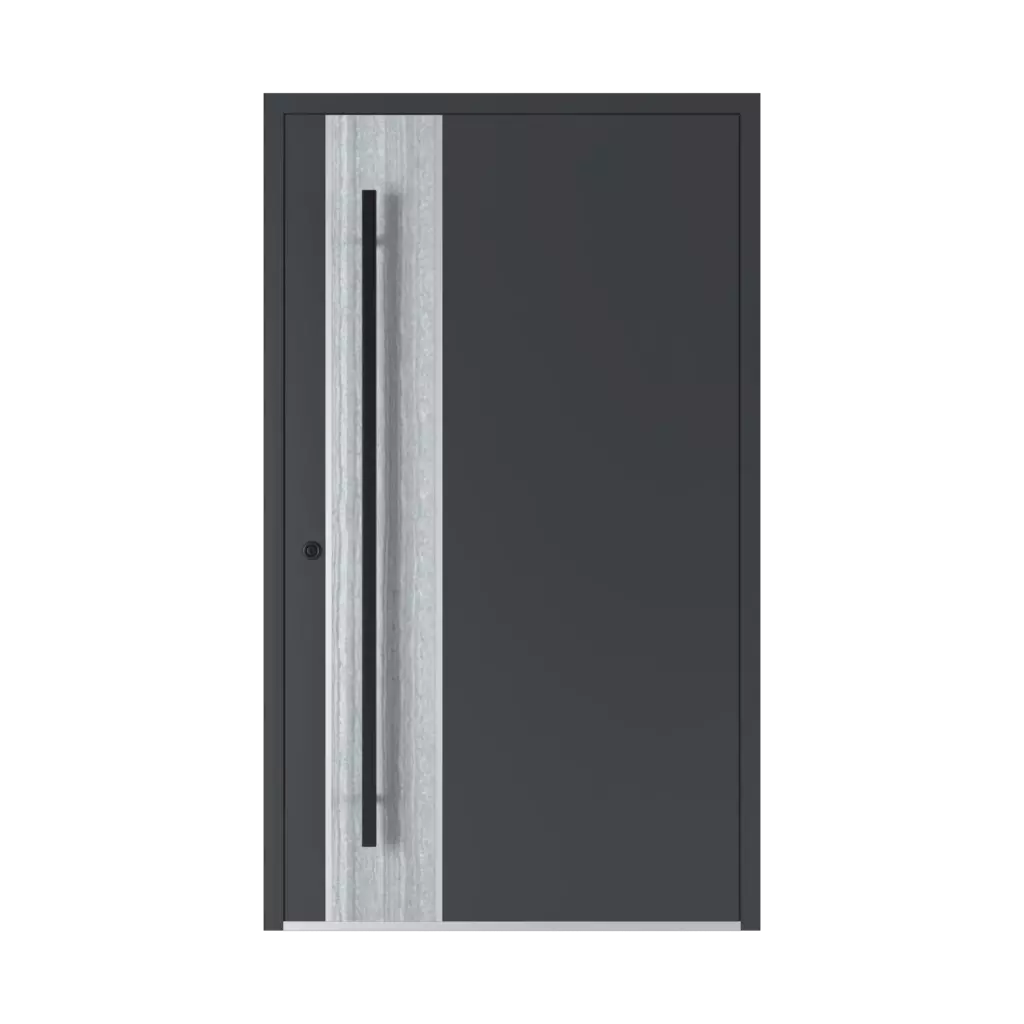 SL05 entry-doors models-of-door-fillings full 
