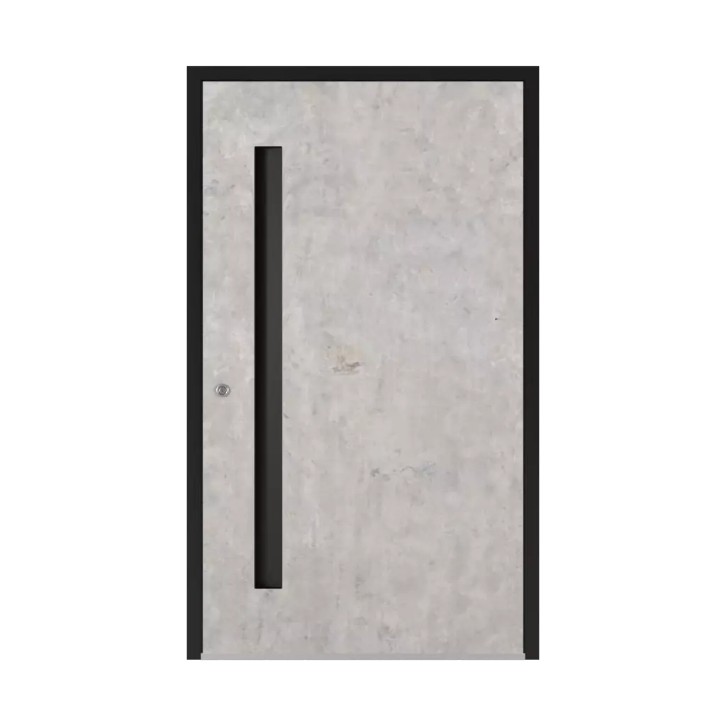 SK06 Beton 🏆 entry-doors models-of-door-fillings full 