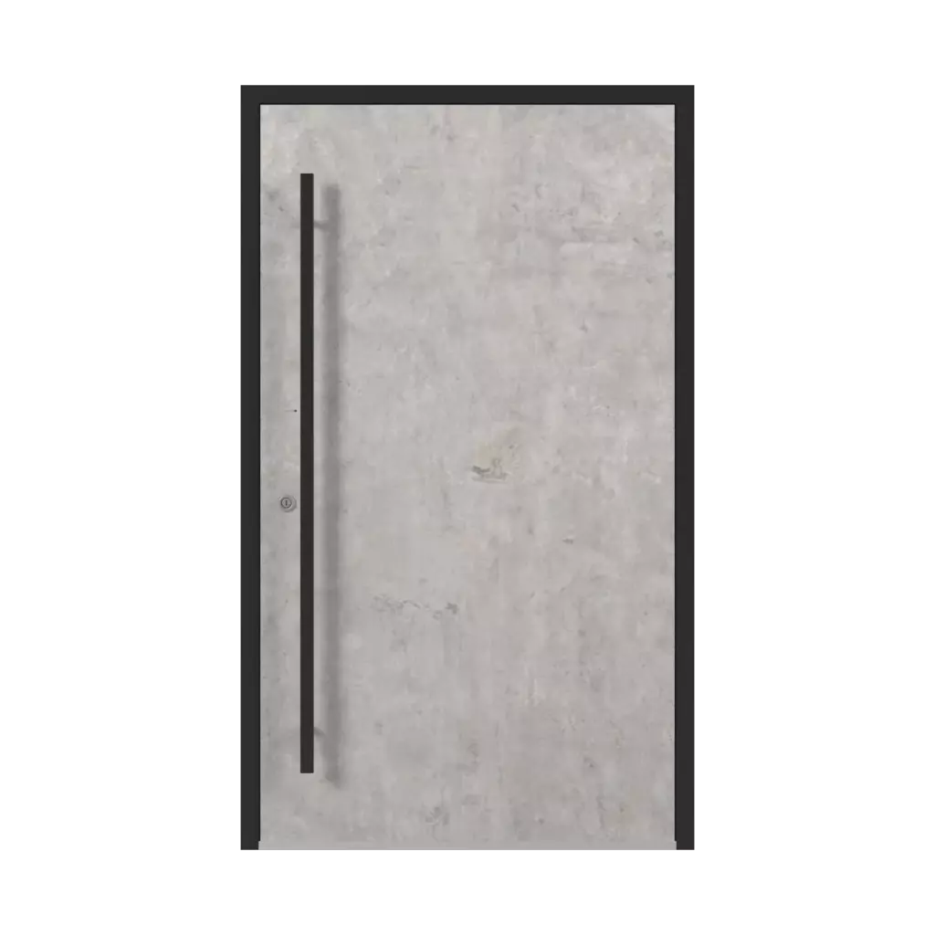 SK02 Beton 🏆 entry-doors models-of-door-fillings full 