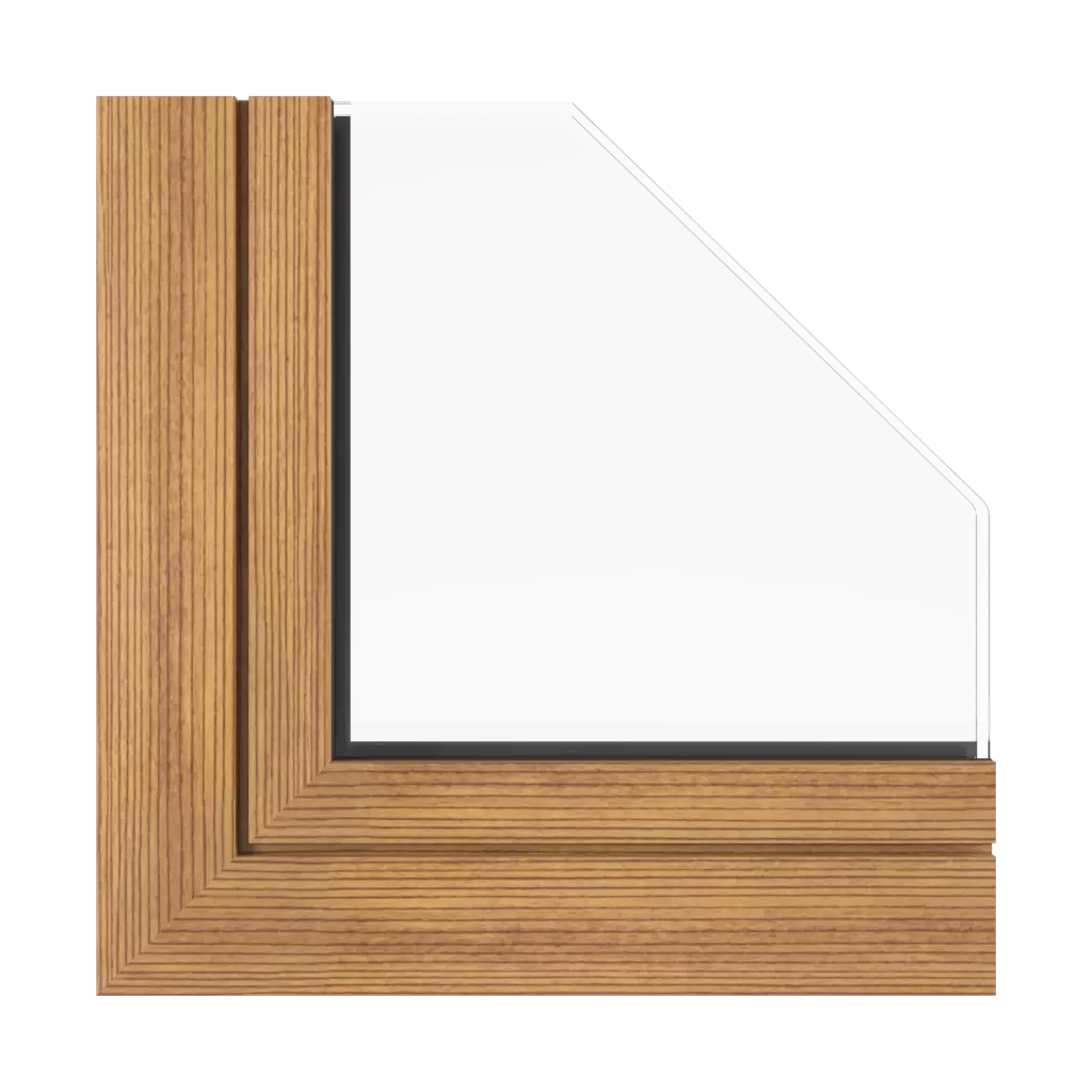 Dark fir windows window-profiles aluprof mb-harmony-office