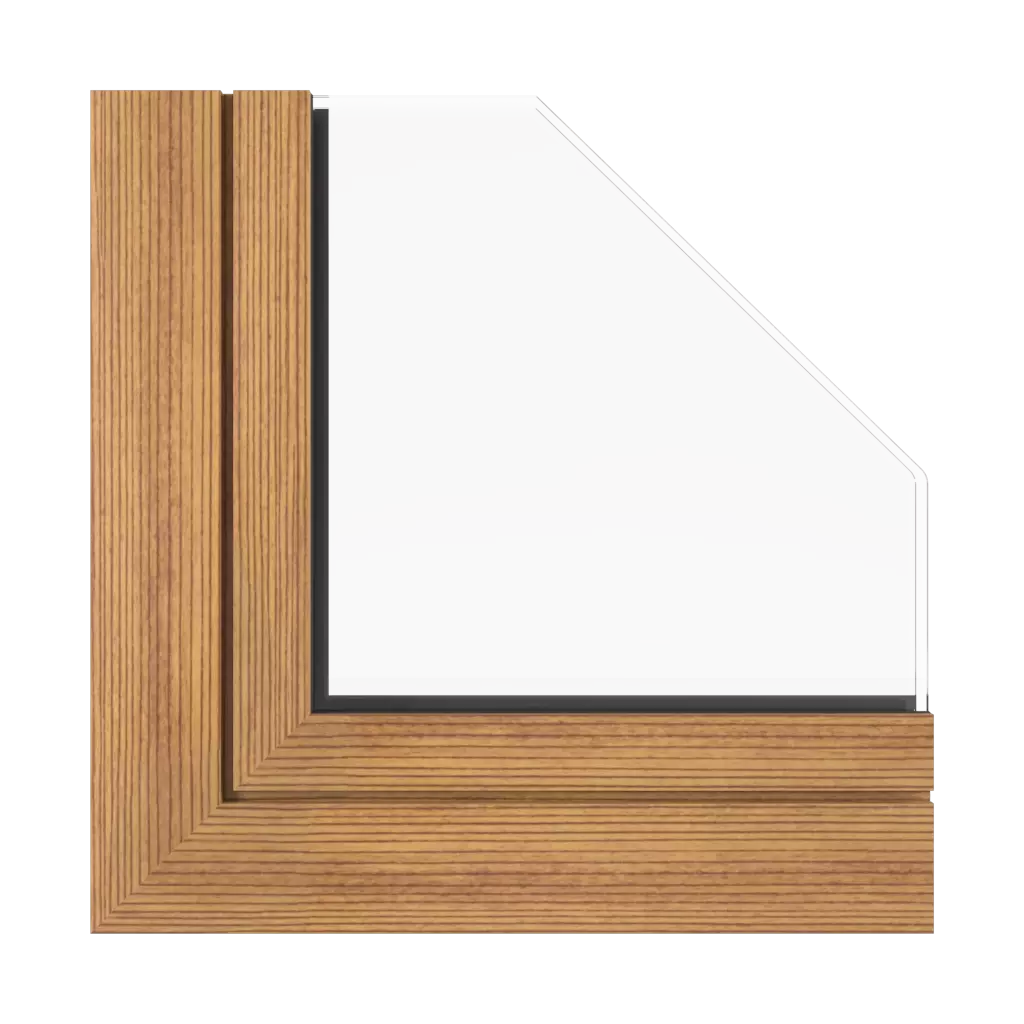 Dark fir windows window-profiles aluprof mb-sr50n