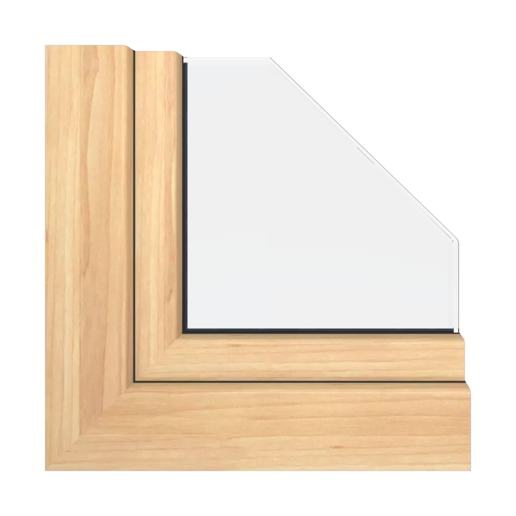 Birch windows window-profiles salamander evolutiondrive